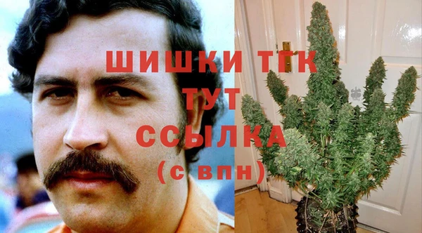 ПСИЛОЦИБИНОВЫЕ ГРИБЫ Заволжск