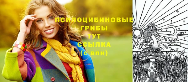 ПСИЛОЦИБИНОВЫЕ ГРИБЫ Заволжск