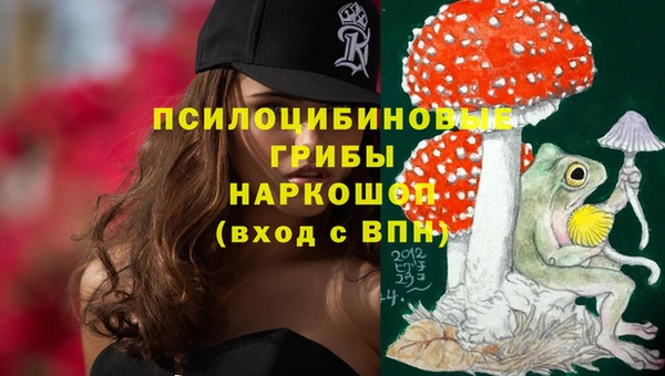 марихуана Заводоуковск