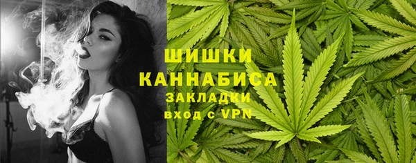 ПСИЛОЦИБИНОВЫЕ ГРИБЫ Заволжск