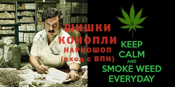 ПСИЛОЦИБИНОВЫЕ ГРИБЫ Заволжск