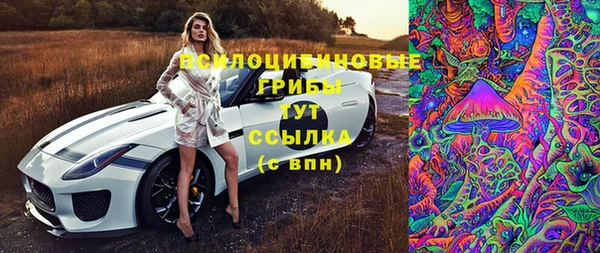 ПСИЛОЦИБИНОВЫЕ ГРИБЫ Заволжск