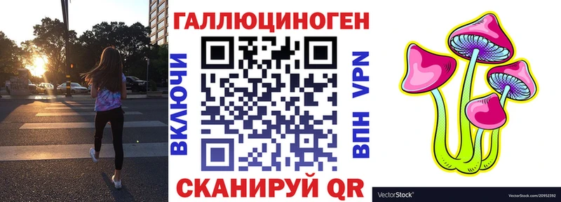 Купить  Кинель  Псилоцибиновые грибы Cubensis 