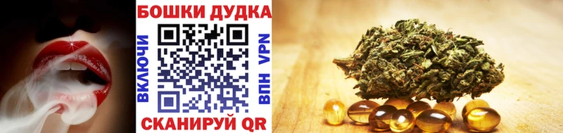 Бошки марихуана VHQ  Купить закладки  Кинель 